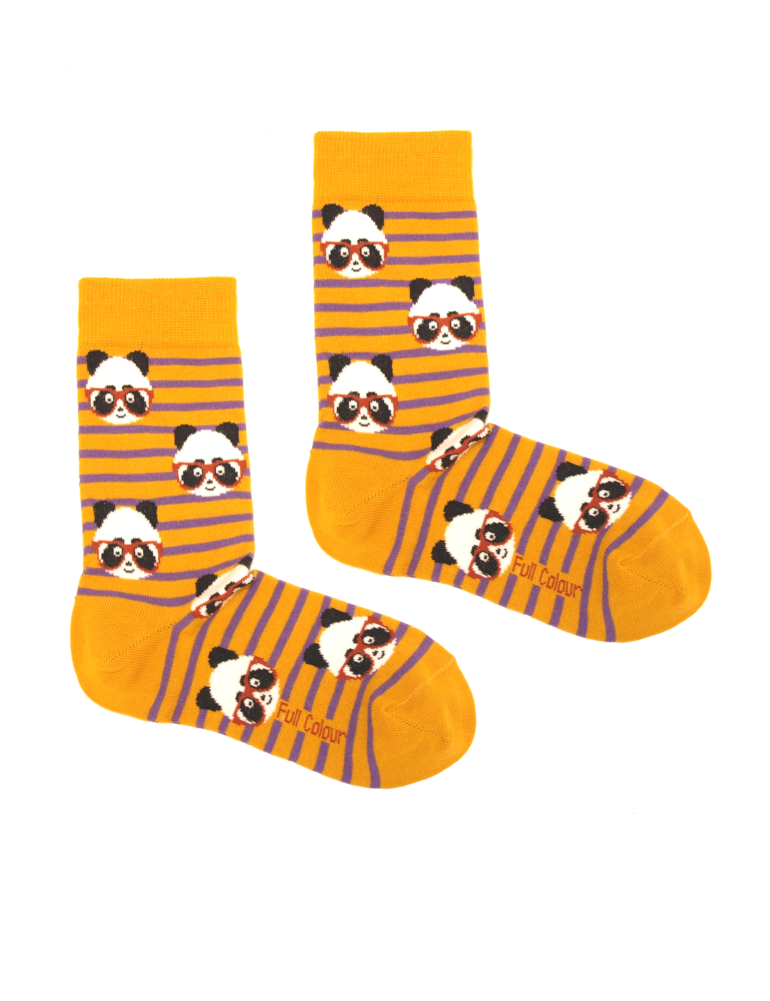 calzini koala fondo giallo